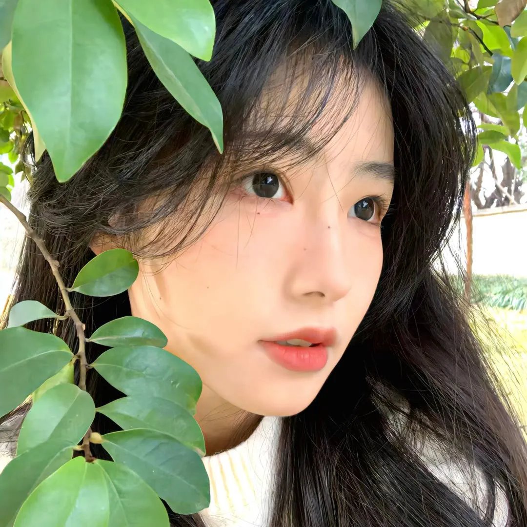怪兽婆婆